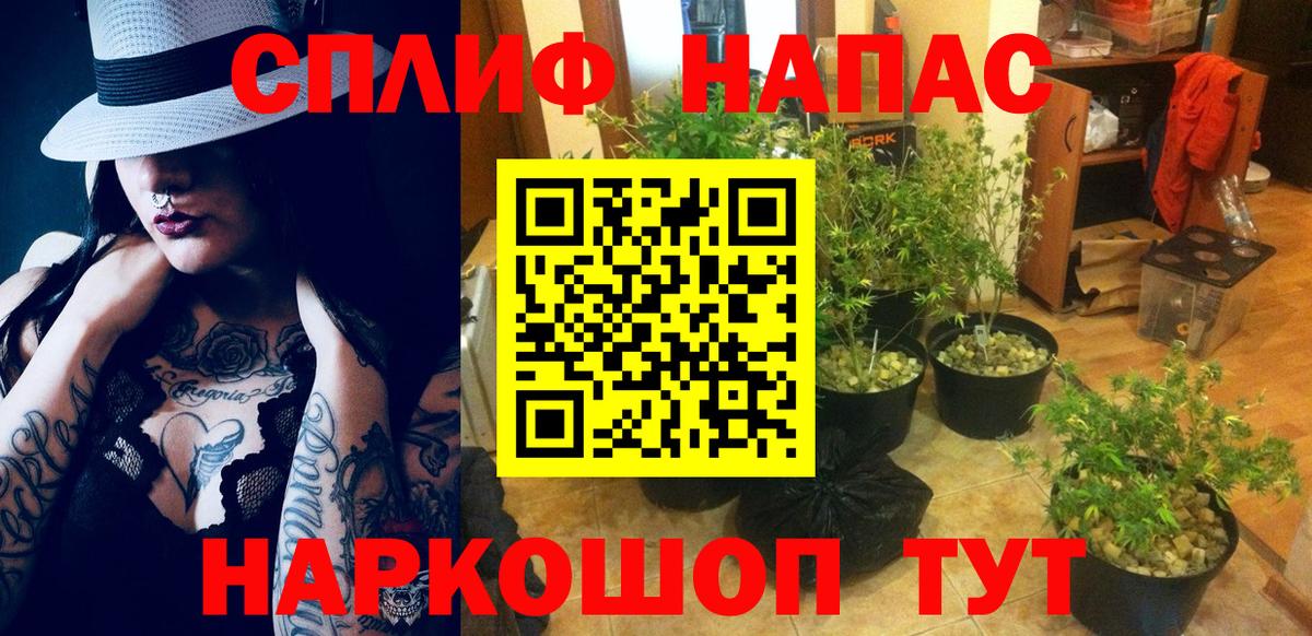 Марихуана план Кострома
